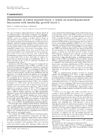 Commentary Mechanisms of Tumor Necrosis Factor Α Action On