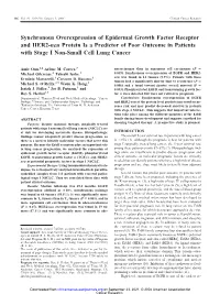 Synchronous Overexpression of Epidermal Growth Factor Receptor and HER2-Neu Protein Is a Predictor of Poor Outcome in Patients with Stage I Non-Small Cell Lung Cancer