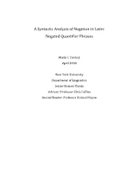 A Syntactic Analysis of Negation in Latin: Negated Quantifier Phrases