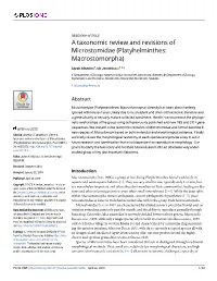 A Taxonomic Review and Revisions of Microstomidae (Platyhelminthes: Macrostomorpha)