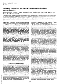 Mapping Striate and Extrastriate Visual Areas in Human Cerebral Cortex EDGAR A