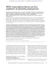 MEF2 Transcription Factors Are Key Regulators of Sprouting Angiogenesis