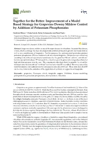 Together for the Better: Improvement of a Model Based Strategy for Grapevine Downy Mildew Control by Addition of Potassium Phosphonates