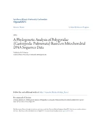A Phylogenetic Analysis of Polygyridae (Gastropoda: Pulmonata) Based on Mitochondrial DNA Sequence Data Nicholas A