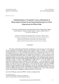 Administration of Cannabis Causes Alterations in Monoamine Oxidase B and Serotonin Receptor 2C Gene Expressions in Wistar Rats