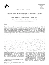 Jaws That Snap: Control of Mandible Movements in the Ant Mystrium ¨ Wulﬁla Gronenberg A,*, Bert Holldobler A, Gary D