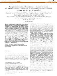 Phosphodiesterase Inhibitors Stimulate Osteoclast Formation Via TRANCE/RANKL Expression in Osteoblasts: Possible Involvement of ERK and P38 MAPK Pathways