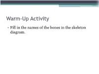 Skeletal System? Skeletal System Chapters 6 & 7 Skeletal System = Bones, Joints, Cartilages, Ligaments