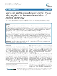 Expression Profiling Reveals Spot 42 Small RNA As a Key Regulator in The
