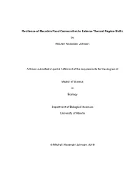 Thesis Formatting