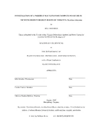 Whthesis.Pdf (1.486Mb)