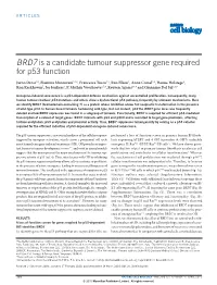 BRD7 Is a Candidate Tumour Suppressor Gene Required for P53 Function