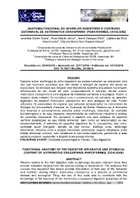 Anatomia Funcional.Pdf