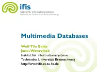 Multimedia Databases
