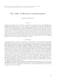 The Scales of Mesozoic Actinopterygians