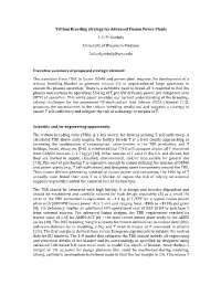 Tritium Breeding Strategy for Advanced Fusion Power Plants