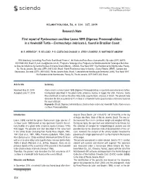 In a Hawksbill Turtle – Eretmochelys Imbricata L