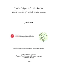 On the Origin of Cryptic Species: Insights from the Stygocapitella Species Complex