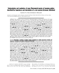 Redescription and R Iption and R Iption and Resolution of Some Neotr