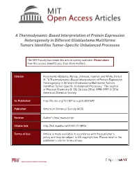 A Thermodynamic Based Interpretation of Protein Expression Heterogeneity in Different GBM Tumors Identifies Tumor Specific Unbalanced Processes