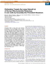 Clofarabine Targets the Large Subunit (A) of Human Ribonucleotide Reductase in Live Cells by Assembly Into Persistent Hexamers