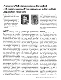 Pentanthera Webs: Interspecific and Interploid Hybridization Among