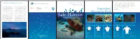 Safehaven Marineturtle Network Brochure.Pdf
