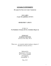Syllabus Science Geology Sem-5-6