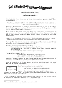 What Is Bhakti?
