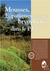 Dossier Doc Bryophytes