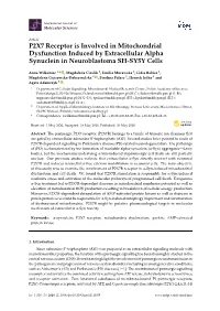 P2X7 Receptor Is Involved in Mitochondrial Dysfunction Induced by Extracellular Alpha Synuclein in Neuroblastoma SH-SY5Y Cells