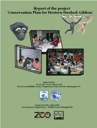 Hoolock Gibbon PHVA 2005
