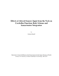 Effects of Altered Sensory Input from the Neck on Cerebellar Function, Body Schema and Sensorimotor Integration