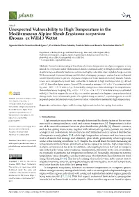 Unexpected Vulnerability to High Temperature in the Mediterranean Alpine Shrub Erysimum Scoparium (Brouss