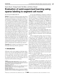 Evaluation of Semi-Supervised Learning Using Sparse Labeling To