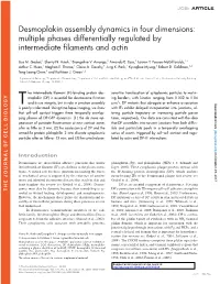 Desmoplakin Assembly Dynamics in Four Dimensions