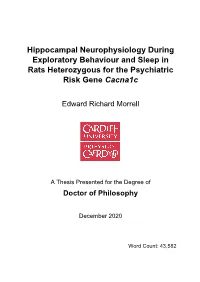 Hippocampal Neurophysiology During Exploratory Behaviour and Sleep in Rats Heterozygous for the Psychiatric Risk Gene Cacna1c