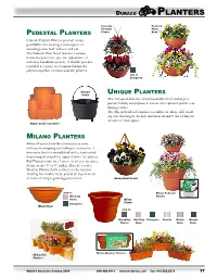 Planters Provide Unique Possibilities for Creating a Masterpiece of Cascading Color Both Indoors and Out