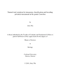Natural Trait Variation for Taxonomic Classification and Breeding Potential Assessment in the Genus Camelina