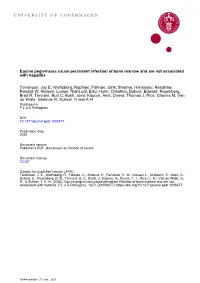 Equine Pegiviruses Cause Persistent Infection of Bone Marrow and Are Not Associated with Hepatitis