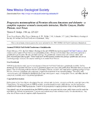 Progressive Metamorphism of Permian Siliceous Limestone and Dolomite