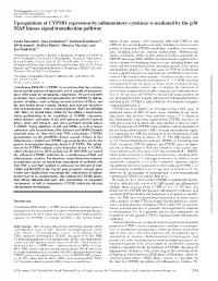 Upregulation of CYP1B1 Expression by Inflammatory Cytokines Is Mediated by the P38 MAP Kinase Signal Transduction Pathway