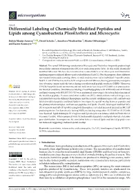 Differential Labeling of Chemically Modified Peptides and Lipids