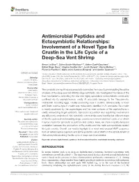 Antimicrobial Peptides and Ectosymbiotic Relationships: Involvement of a Novel Type Iia Crustin in the Life Cycle of a Deep-Sea Vent Shrimp