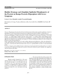 Bladder Drainage and Glandular Epithelial Morphometry of the Prostate in Benign Prostatic Hyperplasia with Severe Symptoms