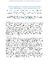 YTHDF2 Destabilizes M6a-Modified Neural-Specific Rnas to Restrain Differentiation in Induced Pluripotent Stem Cells Adam M