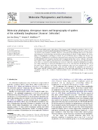 Molecular Phylogeny, Divergence Times and Biogeography of Spiders of the Subfamily Euophryinae (Araneae: Salticidae) ⇑ Jun-Xia Zhang A, , Wayne P