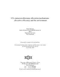 CO2 Emission Allowance Allocation Mechanisms, Allocative Efficiency and the Environment