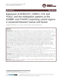 Expression of KCNQ1OT1, CDKN1C, H19, and PLAGL1 and The