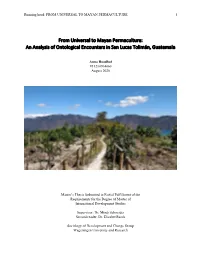 From Universal to Mayan Permaculture 1